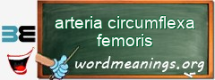 WordMeaning blackboard for arteria circumflexa femoris